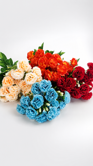 Mini Carnation Spray