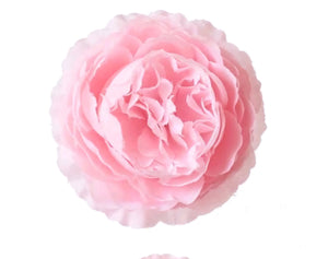 3" Peony Head (Pink)