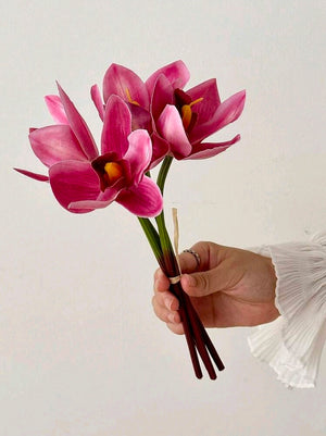 Cymbidium Orchid