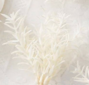 White Fern Leaf