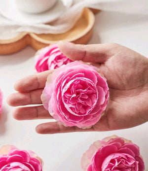 3" Peony Head (Watermelon Pink)