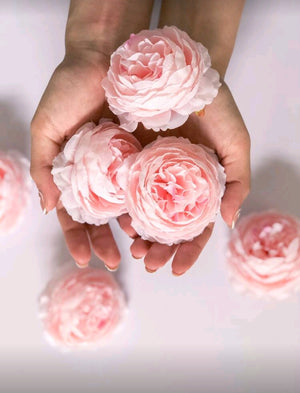 3" Peony Head (Baby Pink)
