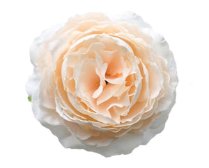 3" Peony Head (Apricot)