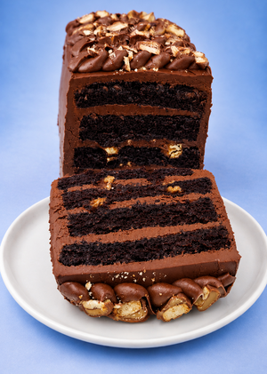 Chocolate w/ Salted Caramel Twix