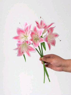 Bridal Lilies