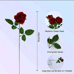 Red Rose with Stem & Leaves