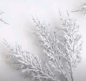 Silver Fern Leaf