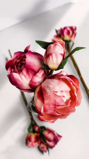 Garden Rose Spray