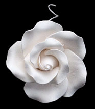 Tea Rose (White)