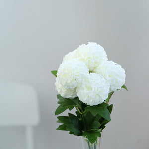 Chrysanthemum (White)