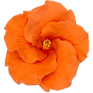 Large Hibiscus (Orange)