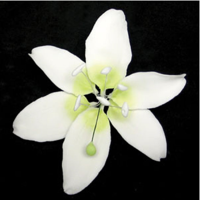 Large Stargazer Lily (White)