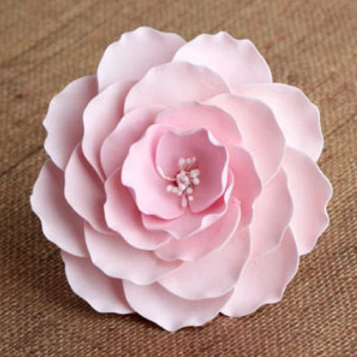 Brair Rose (Pink)