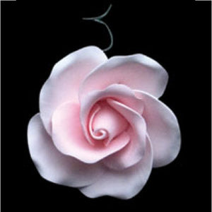 Small Tea Rose (Pink)
