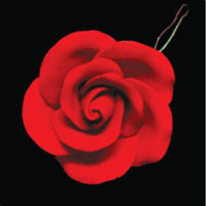 Tea Rose (Red)