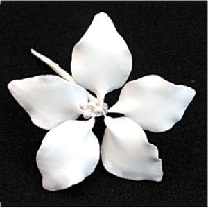 White Gladiolus (Small)